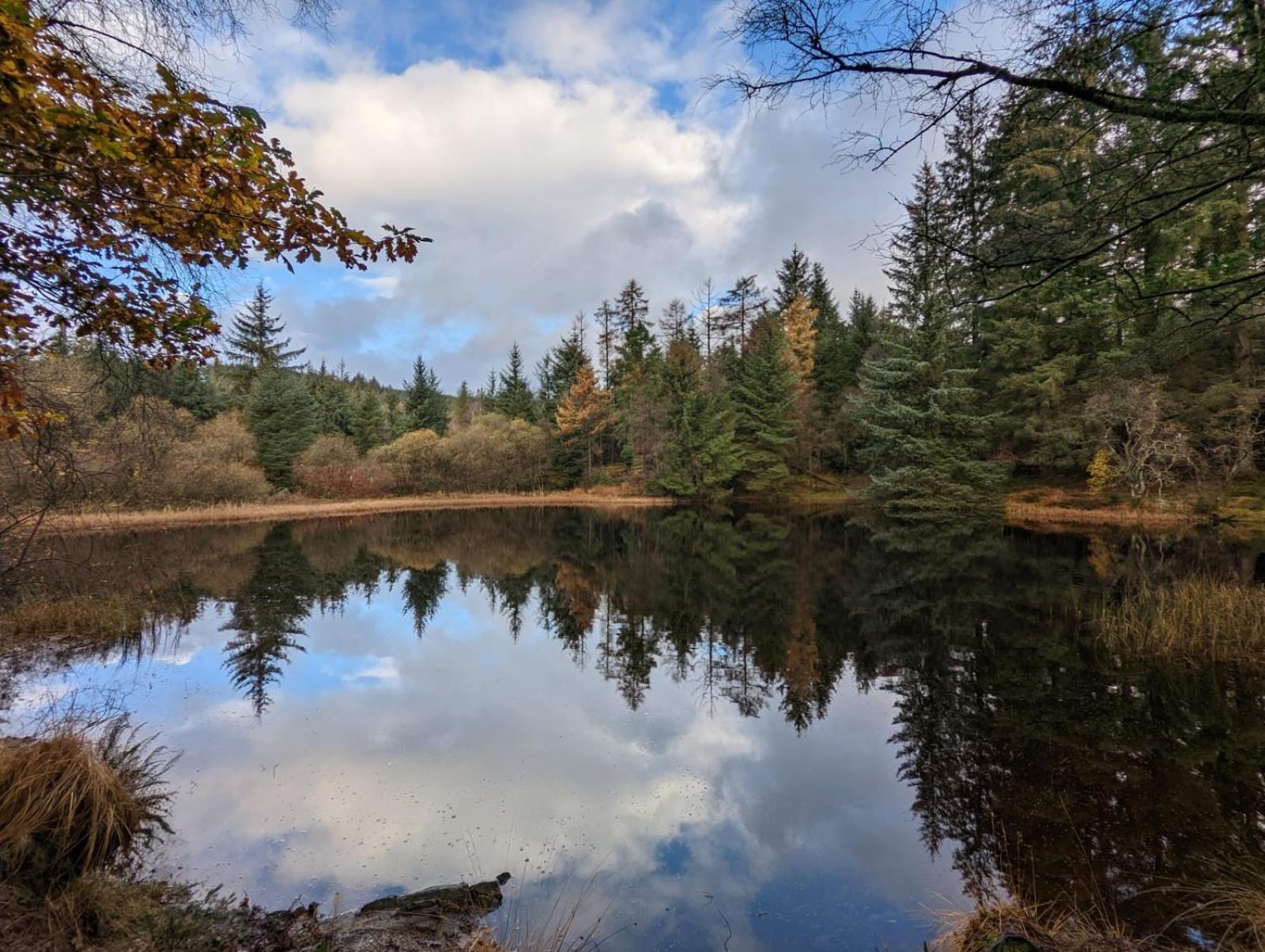 Nordlys Cottage Newton Stewart Zewnętrze zdjęcie