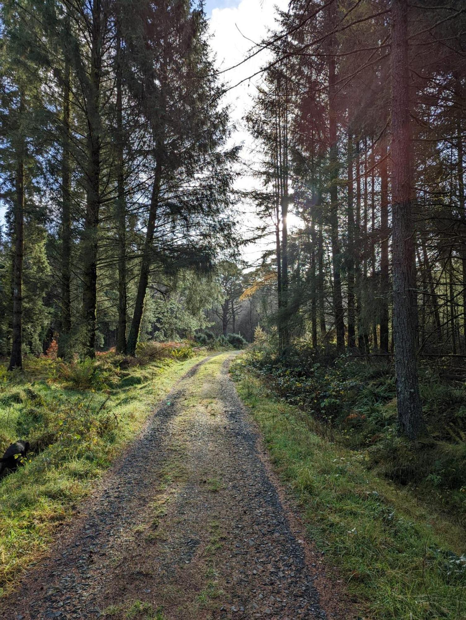 Nordlys Cottage Newton Stewart Zewnętrze zdjęcie