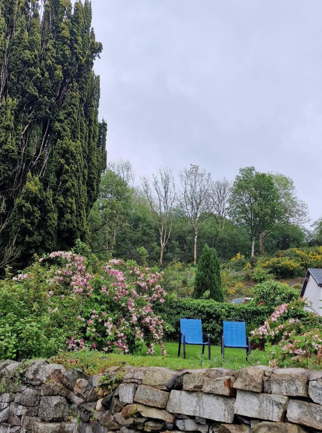 Nordlys Cottage Newton Stewart Zewnętrze zdjęcie